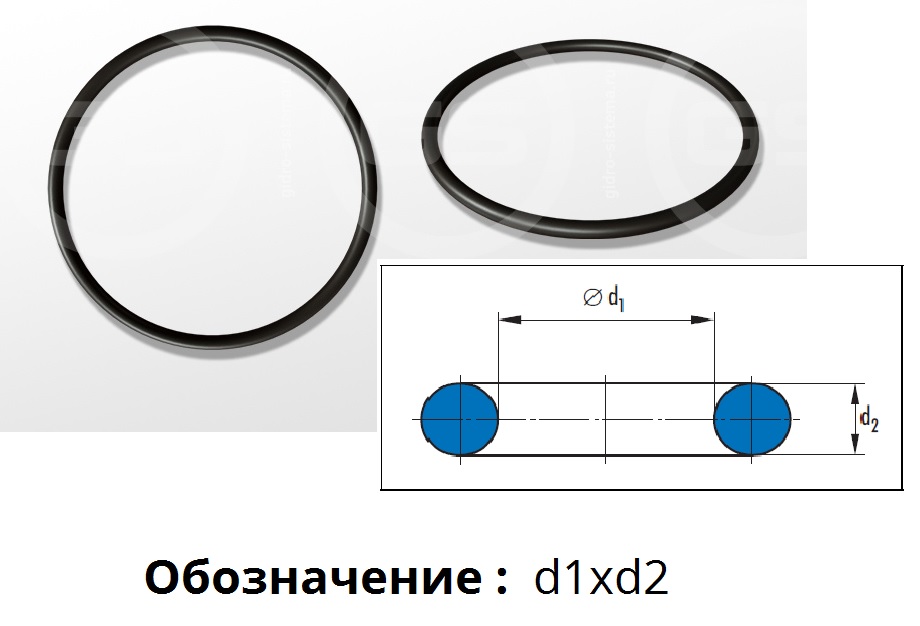 Кольцо 050-055-30 ГОСТ 9833-73 (49x3,0) ООО ИмпортПромПодшипник