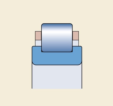 Подшипник RN 206 E.M1 (30x53,5x16) FAG ООО ИмпортПромПодшипник